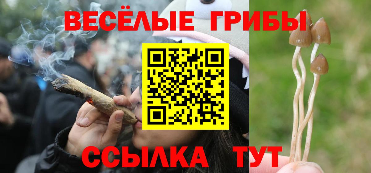 Псилоцибиновые грибы мухоморы Советская Гавань